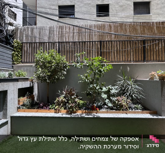 גינה עם צמחים ועצים קטנים בחצר
